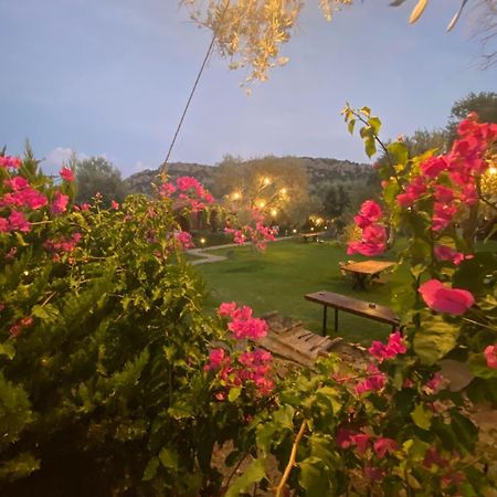Suzi'Nin Bahcesi Bungalov Evler Datca Bagian luar foto