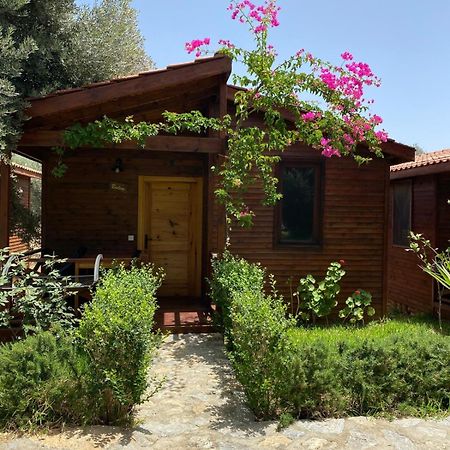 Suzi'Nin Bahcesi Bungalov Evler Datca Bagian luar foto