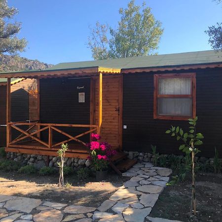 Suzi'Nin Bahcesi Bungalov Evler Datca Bagian luar foto