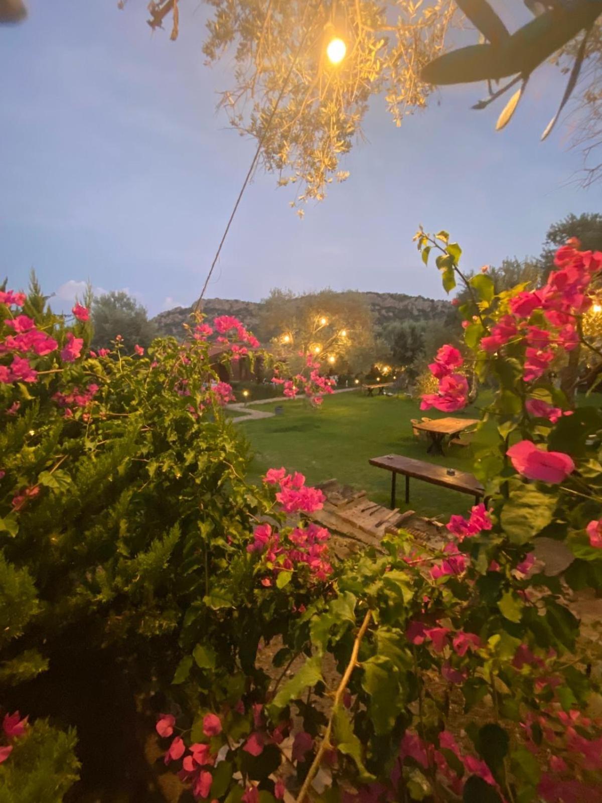 Suzi'Nin Bahcesi Bungalov Evler Datca Bagian luar foto