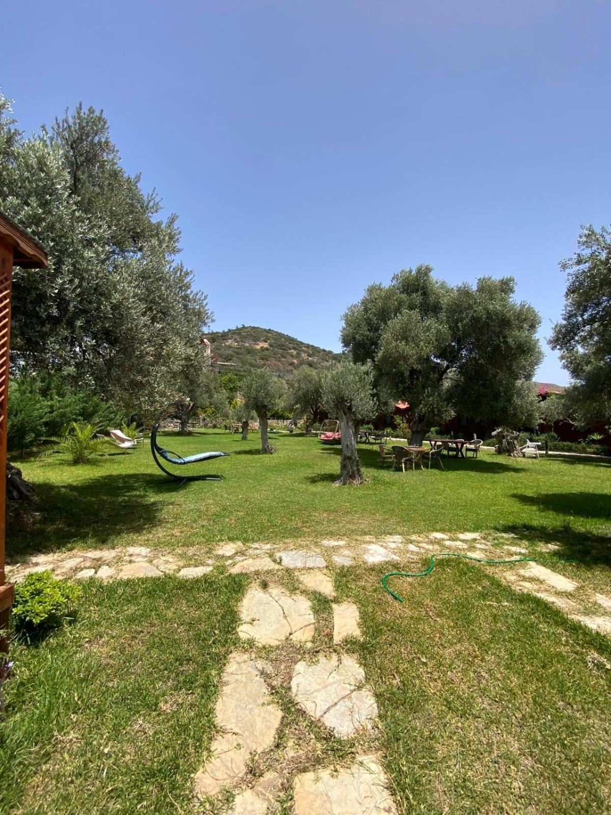 Suzi'Nin Bahcesi Bungalov Evler Datca Bagian luar foto