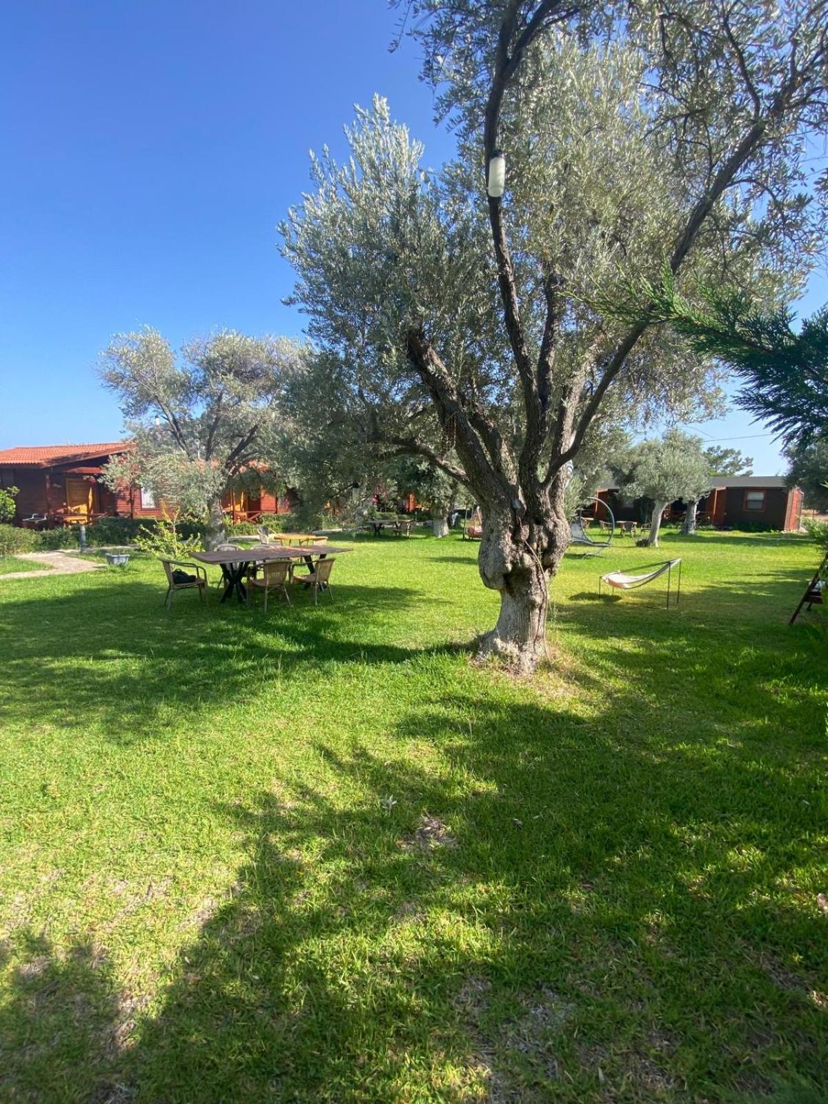 Suzi'Nin Bahcesi Bungalov Evler Datca Bagian luar foto