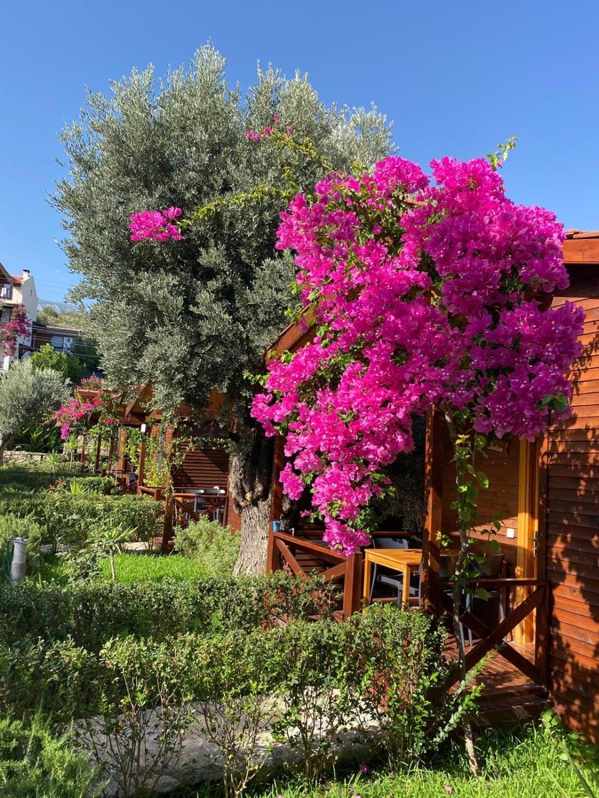 Suzi'Nin Bahcesi Bungalov Evler Datca Bagian luar foto